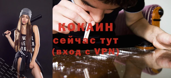 МДПВ Ветлуга