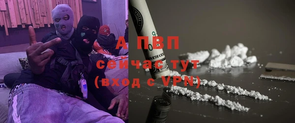 шишки Лабытнанги