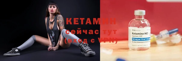 шишки Лабытнанги
