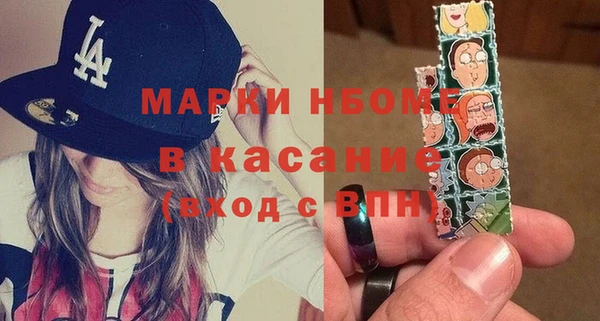 шишки Лабытнанги
