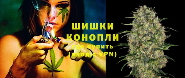 МДПВ Ветлуга