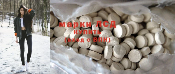 шишки Лабытнанги
