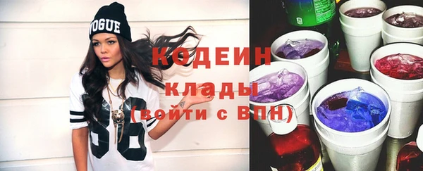 шишки Лабытнанги